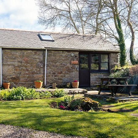 Cosy Cottage In The Beautiful Lamorna Valley - Walk To The Pub & Sea Paul エクステリア 写真